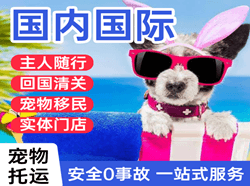 沈阳航空快递国际宠物托运 【国